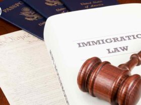 بهترین وکیل مهاجرت