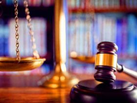 مفسد فی الارض